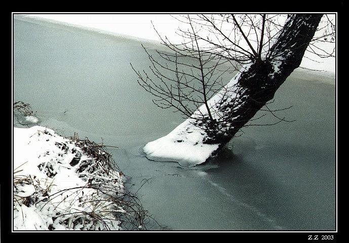 Zima I