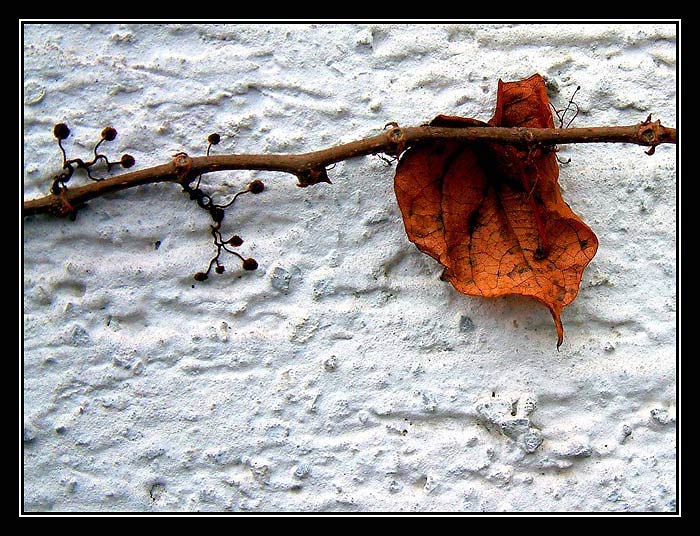 ...zbyl poslední...