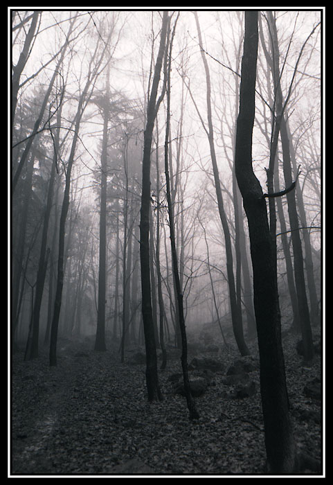 Tady je Radoušovo ...