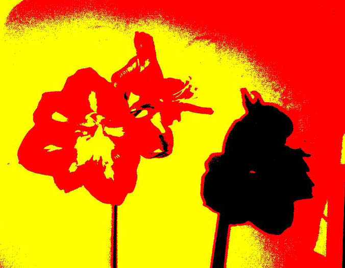 Andy Warhol revival