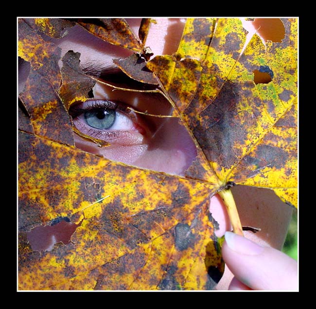 ...maska...