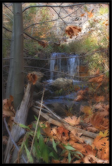 My little dream world