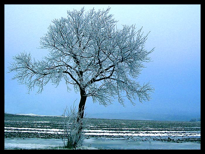 Strom