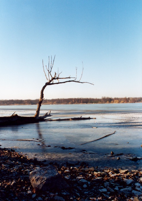 Bezdrev