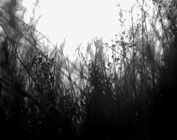 Posledni pohled padleho hrdiny