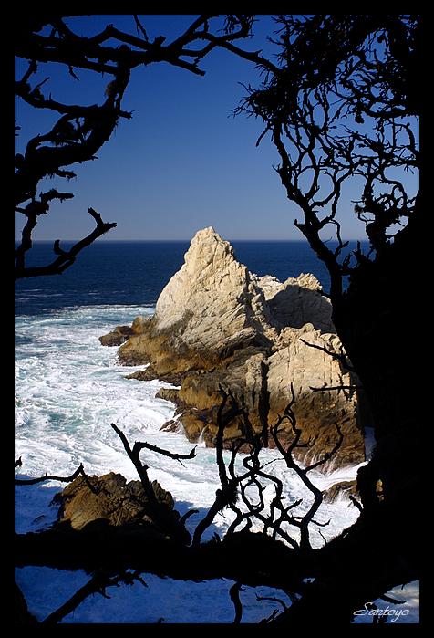 Another view at Point Lobos