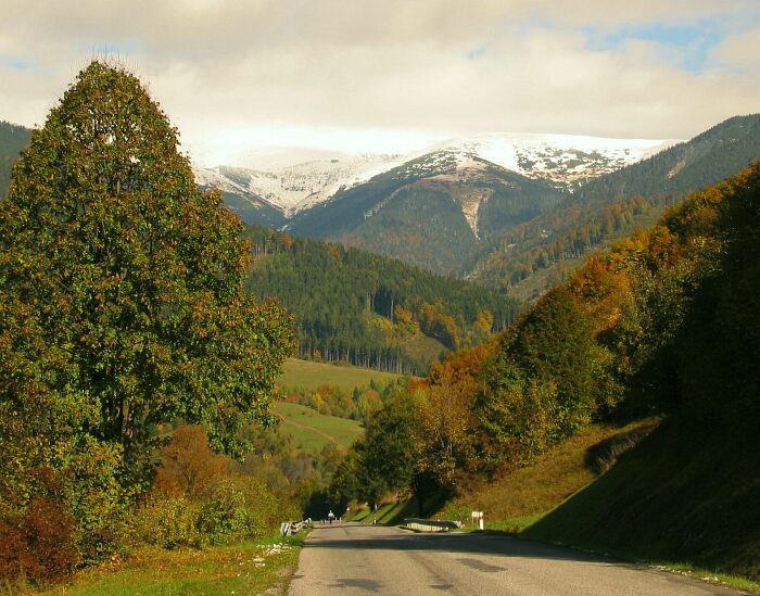 Dolina