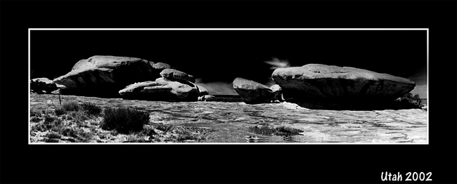 Stone Desert