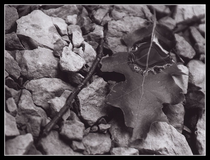 Překvapení na cestě