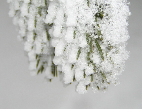 -10°C