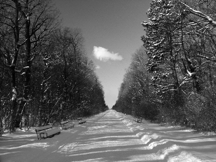 stredovka