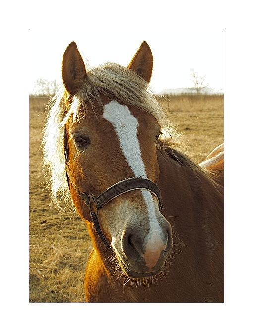 Pro Jirku Vaňourka...