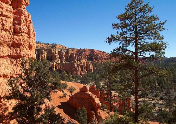 Red Canyon - Utah