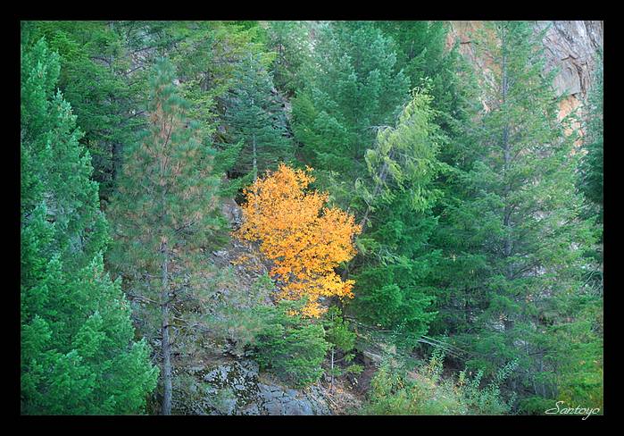 Tak sam... ( Lake Tahoe )