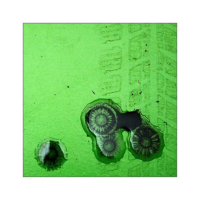 Sluníčka pro Sluníčko