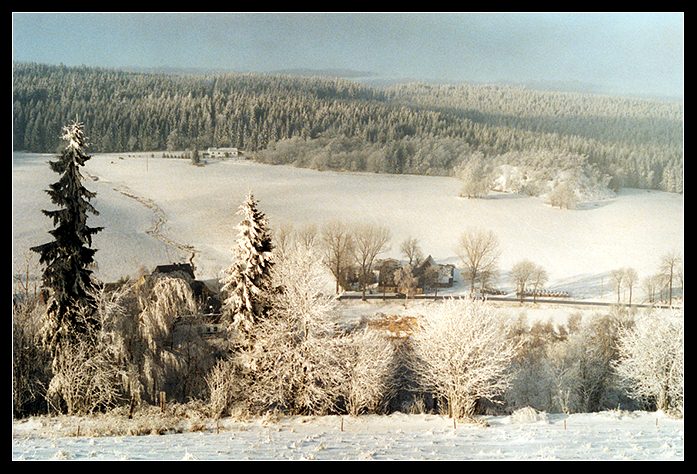 Zimni motiv