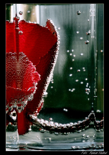 br br br brambořík