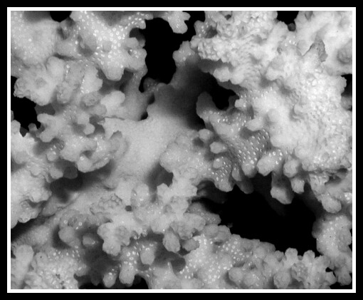 Korálky, korálky...