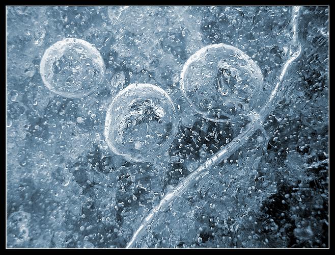 Bubbles