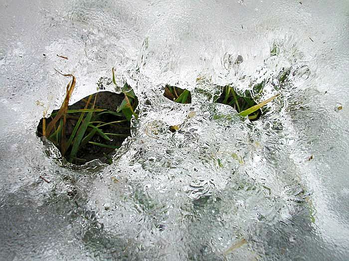 čekání na jaro