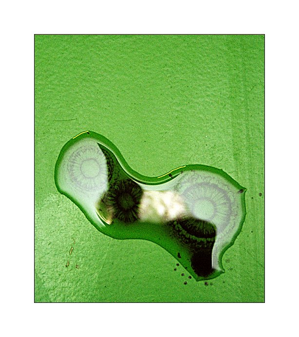 Sluníčka pro Sluníčko II