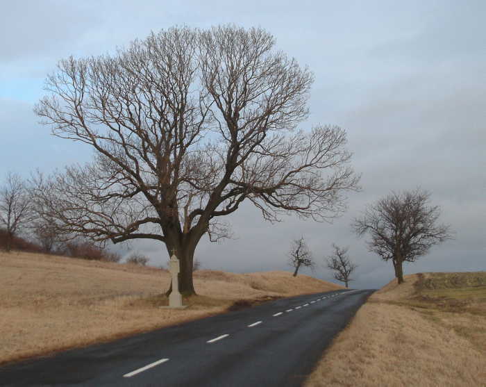 Čekání na jaro
