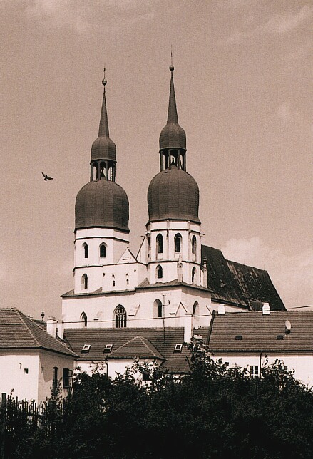 Vtak