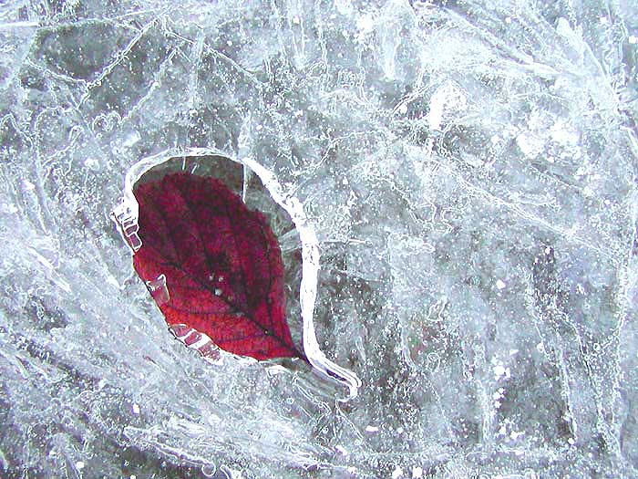 ice red