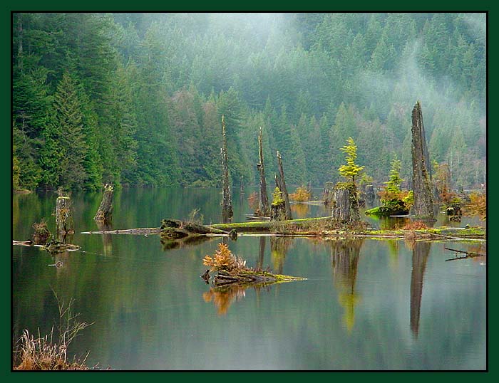 Mlhave jezirko No. 2