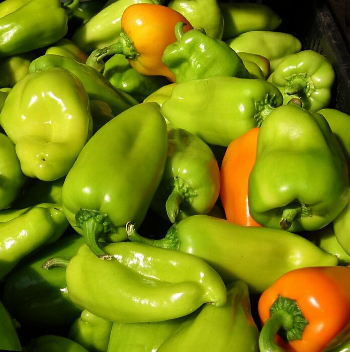 Paprika