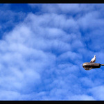 Lampa, ptak a nebe....;-))