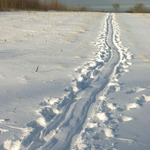 Cesta do Noveho roku