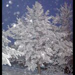 Je ti teplo dcerko ...