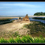 Oregon coast III