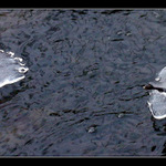 Mám studený nožičky a obě levý