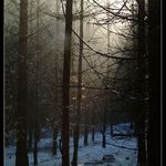 Když blázní počasí