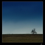 Horizont