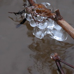 přírody hrátky ledové ...