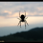 čakanie na večeru :)