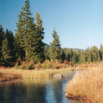 Munrow Lake, Coquitlam, BC