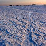 Vzdálená večeře ...