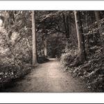 road to modelemos...