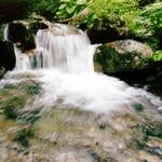 A čas sa spomalil ...