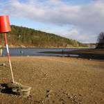 Rokle