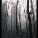 Tady je Radoušovo ...