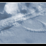 ...skamenelina...