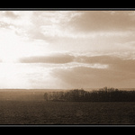 Polní III