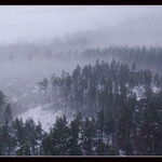 zima