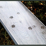 Ťapky aneb... Kočka na lavičce