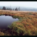 Listopadové ráno No.2